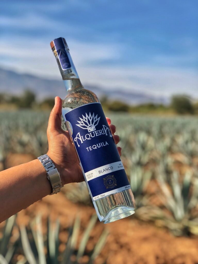tequila alqueria 04